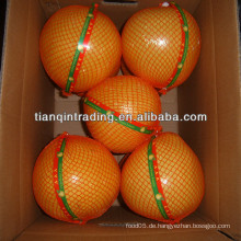 Chinesischer Honig Pomelo